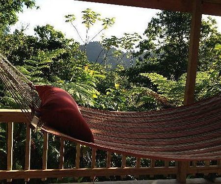 Roots Jungle Retreat Vila Marigot Exterior foto