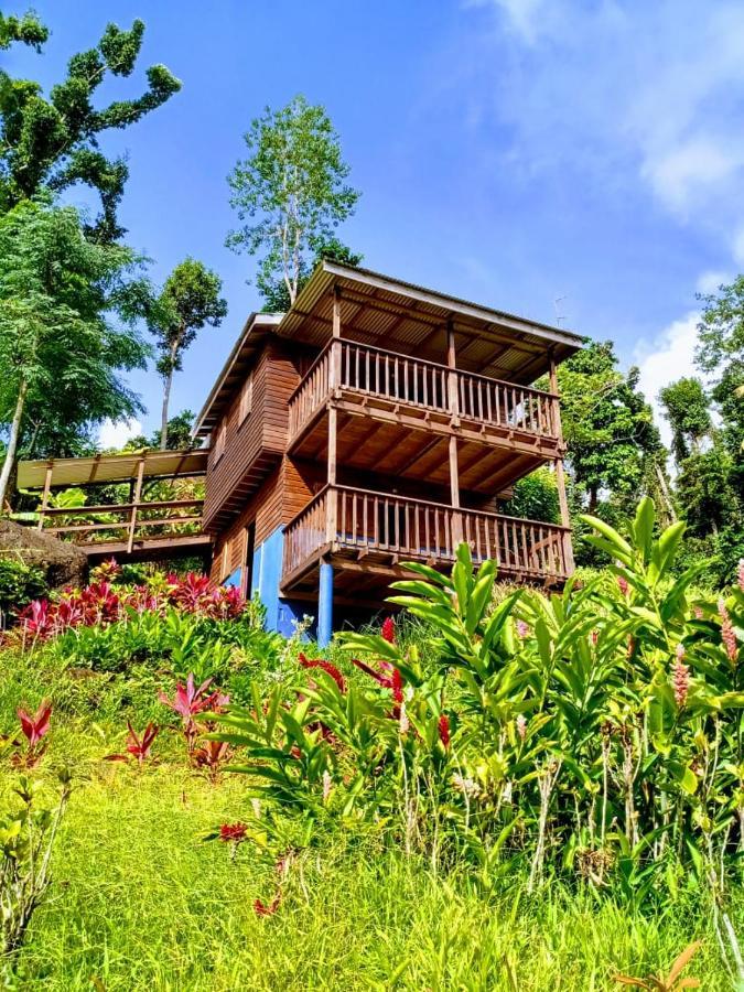 Roots Jungle Retreat Vila Marigot Exterior foto