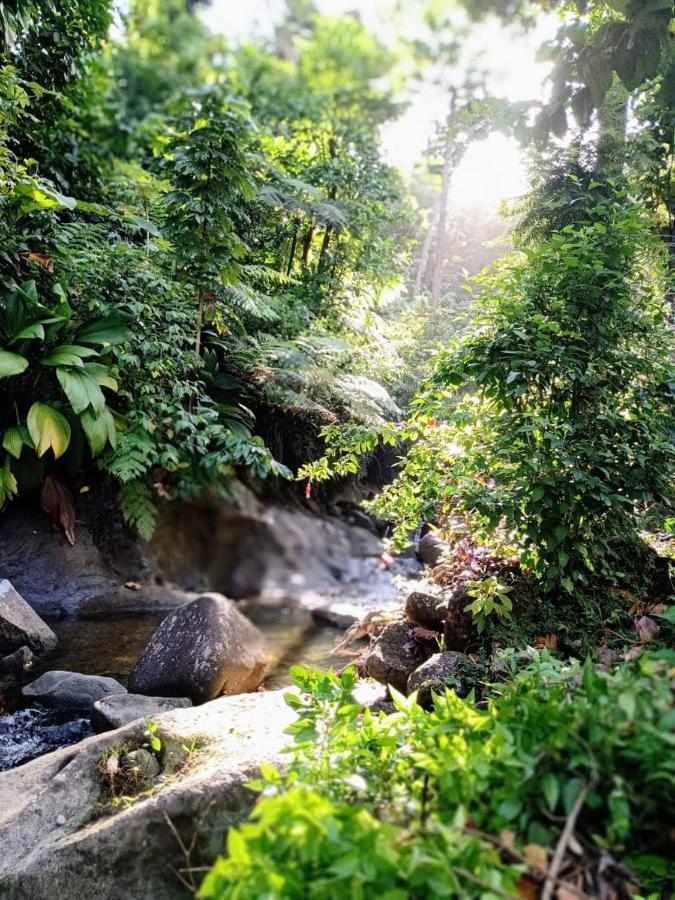 Roots Jungle Retreat Vila Marigot Exterior foto