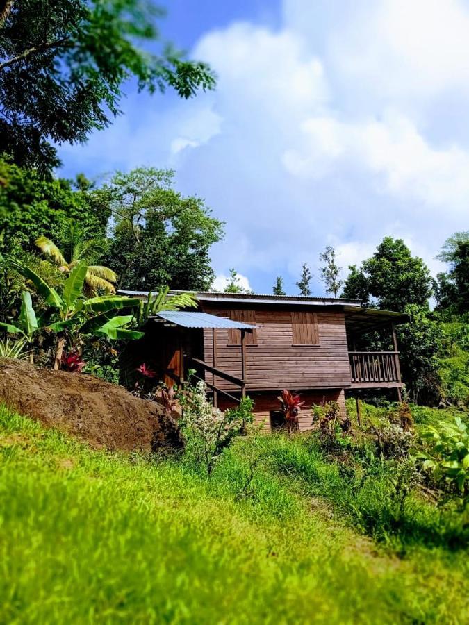 Roots Jungle Retreat Vila Marigot Exterior foto