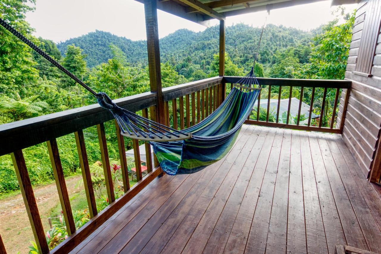 Roots Jungle Retreat Vila Marigot Exterior foto
