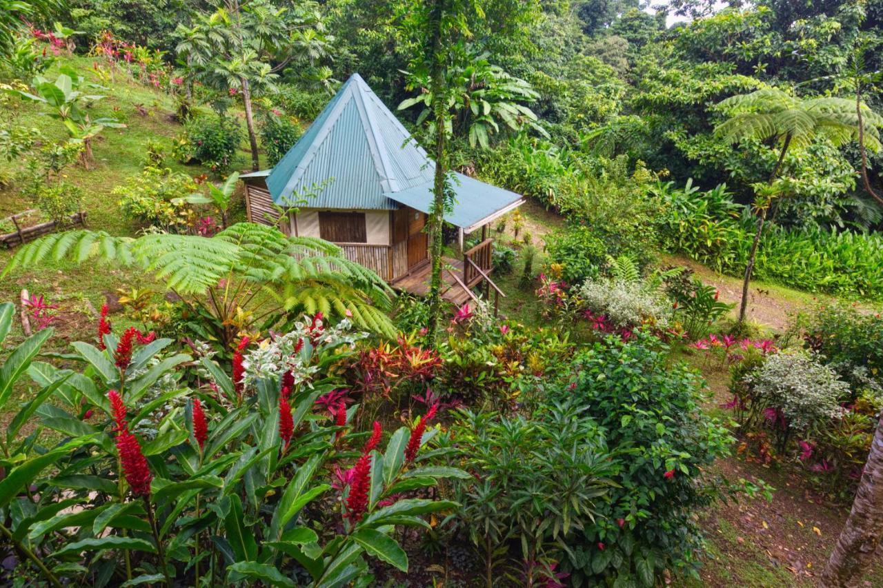 Roots Jungle Retreat Vila Marigot Exterior foto