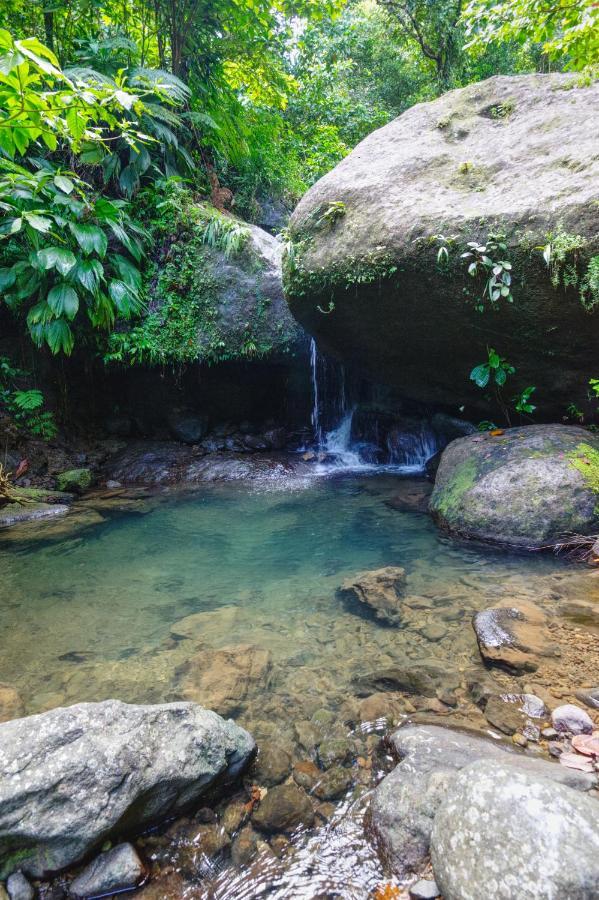 Roots Jungle Retreat Vila Marigot Exterior foto