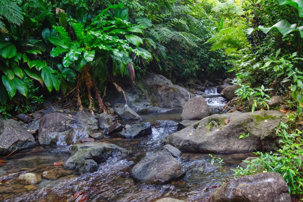 Roots Jungle Retreat Vila Marigot Exterior foto