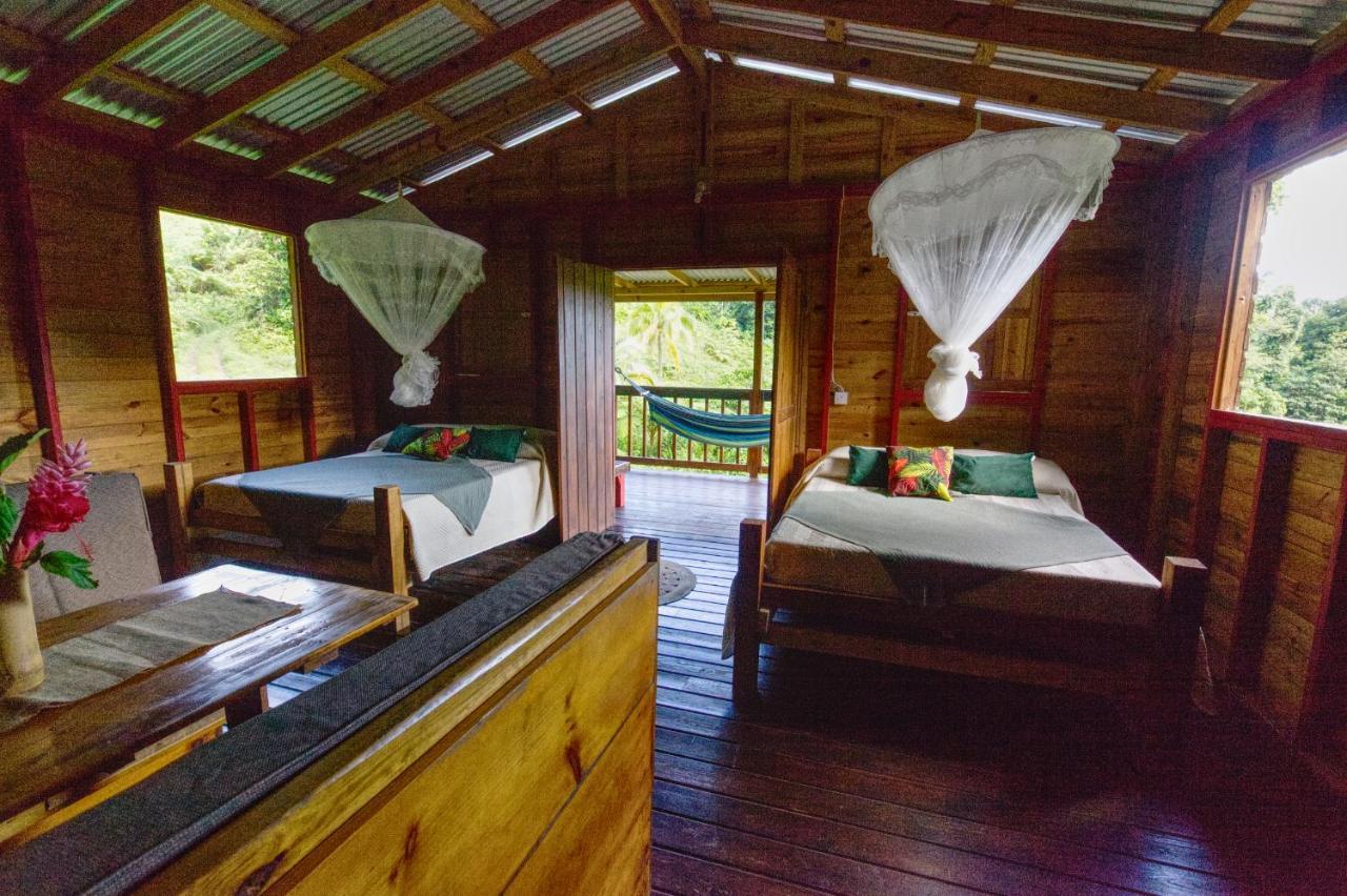 Roots Jungle Retreat Vila Marigot Exterior foto