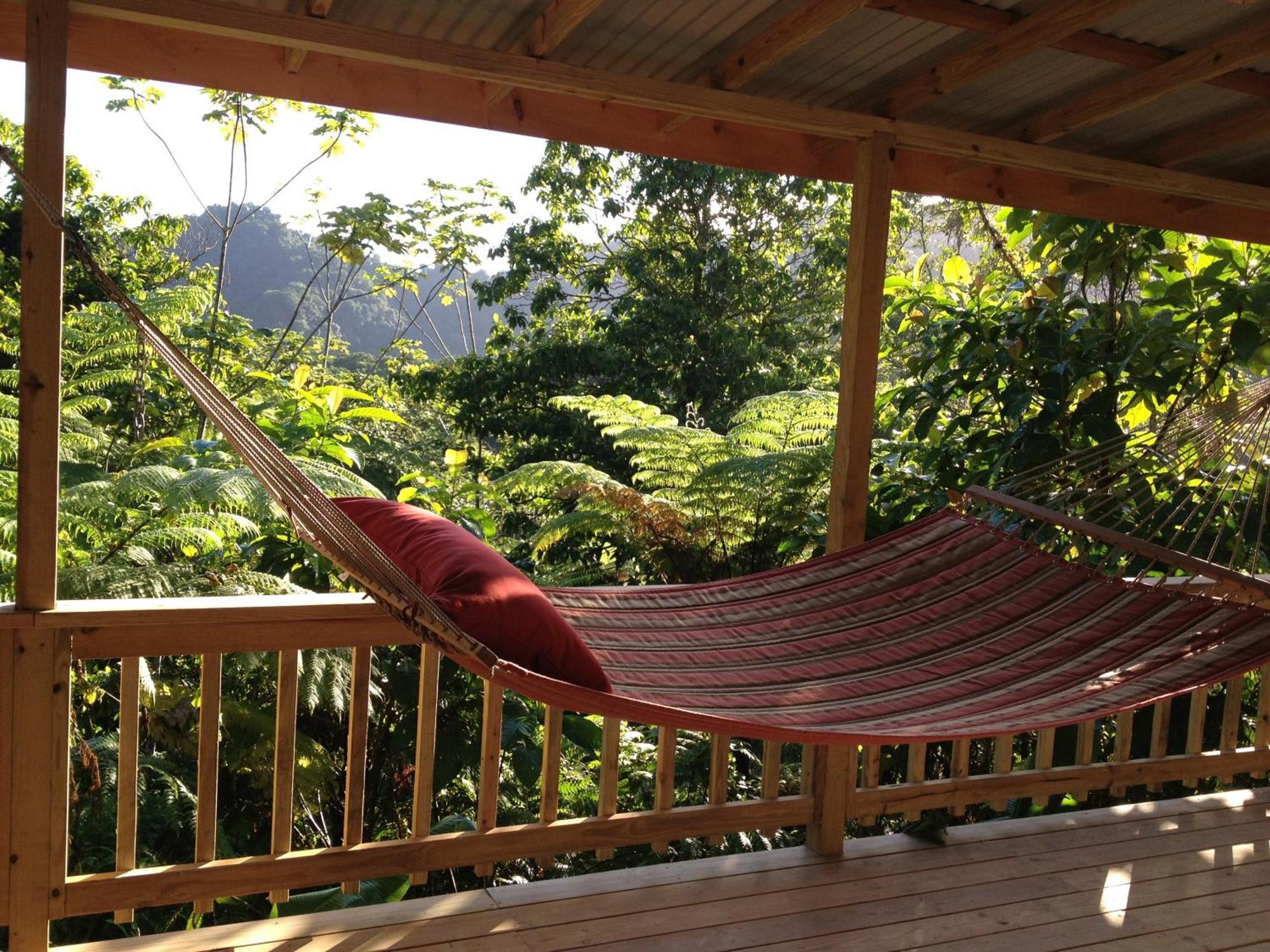 Roots Jungle Retreat Vila Marigot Exterior foto