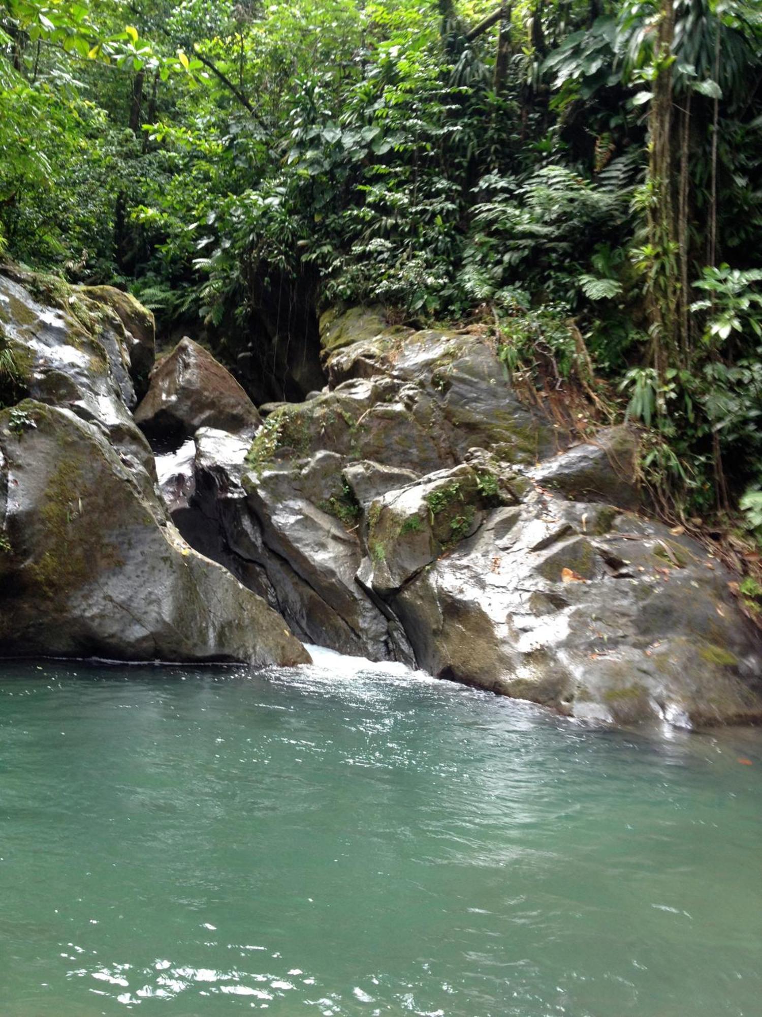 Roots Jungle Retreat Vila Marigot Exterior foto