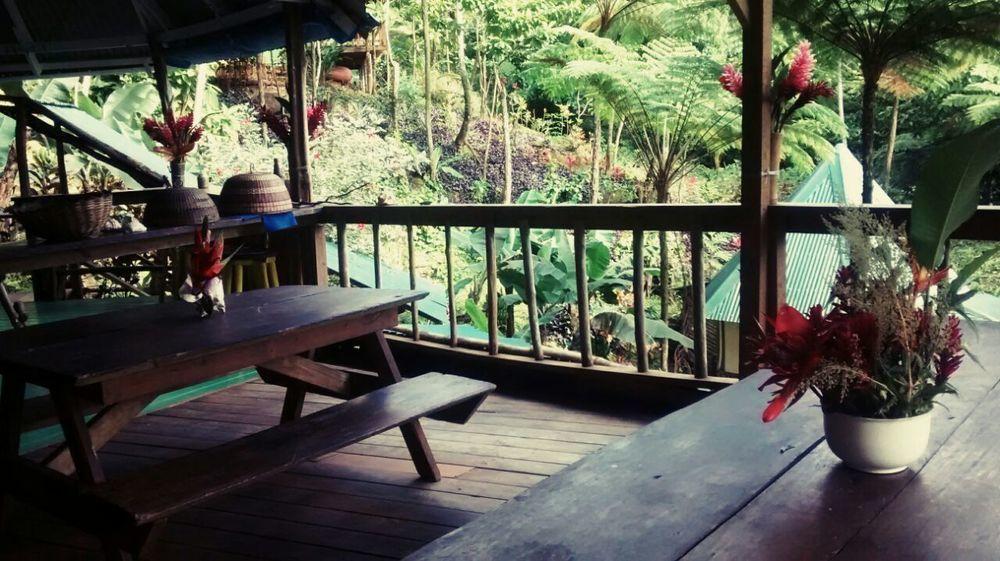Roots Jungle Retreat Vila Marigot Exterior foto