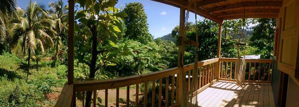 Roots Jungle Retreat Vila Marigot Exterior foto