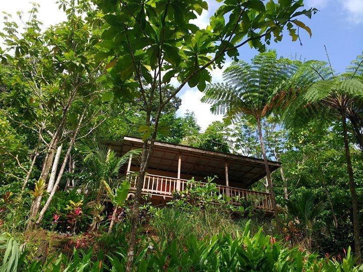 Roots Jungle Retreat Vila Marigot Exterior foto