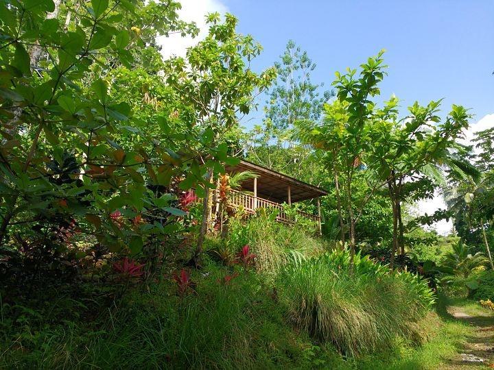 Roots Jungle Retreat Vila Marigot Exterior foto