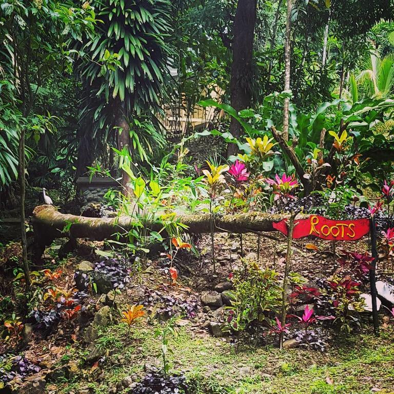 Roots Jungle Retreat Vila Marigot Exterior foto