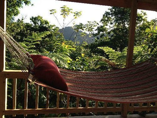 Roots Jungle Retreat Vila Marigot Exterior foto