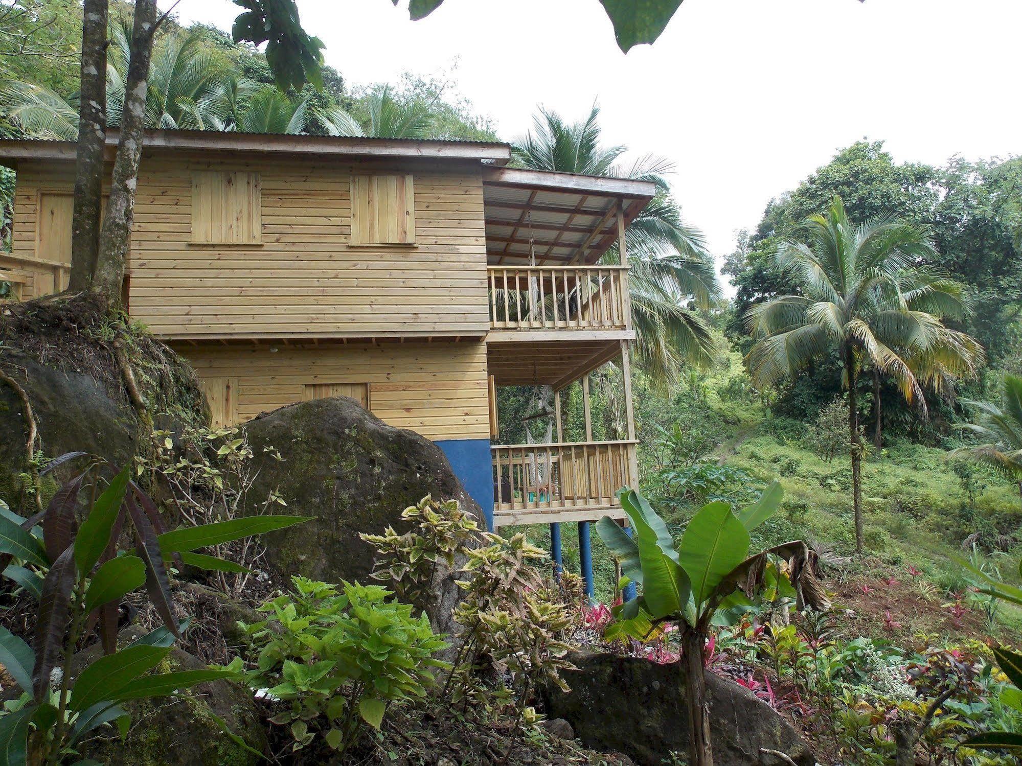 Roots Jungle Retreat Vila Marigot Exterior foto