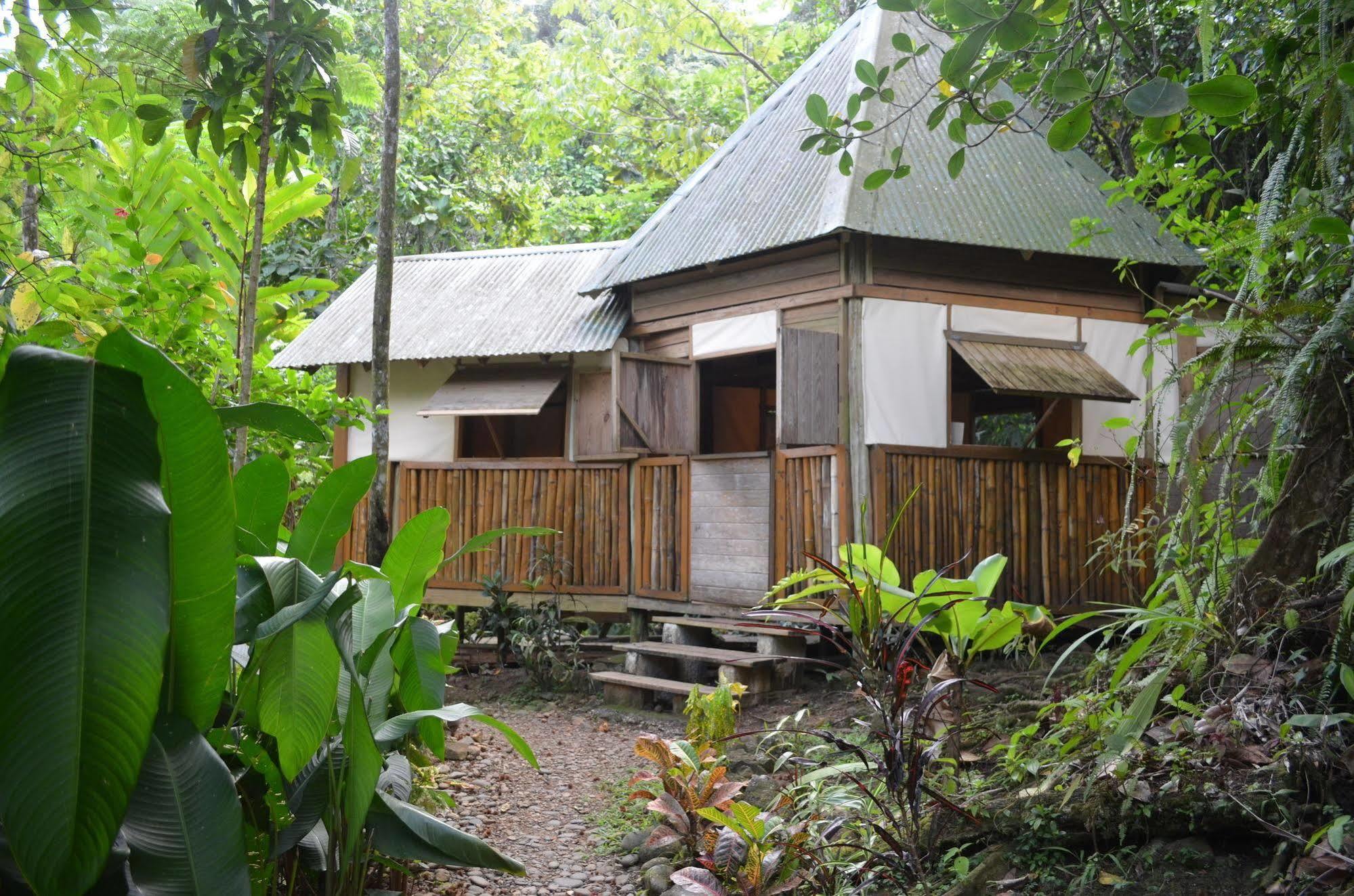 Roots Jungle Retreat Vila Marigot Exterior foto