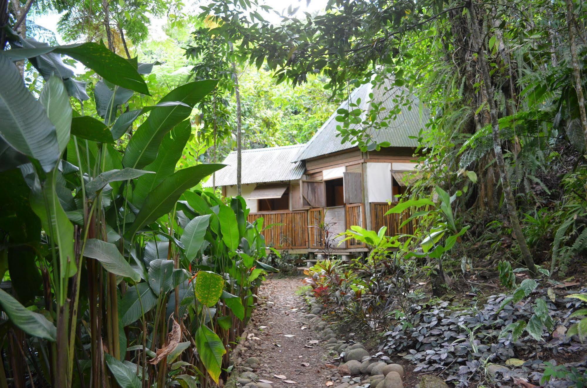 Roots Jungle Retreat Vila Marigot Exterior foto