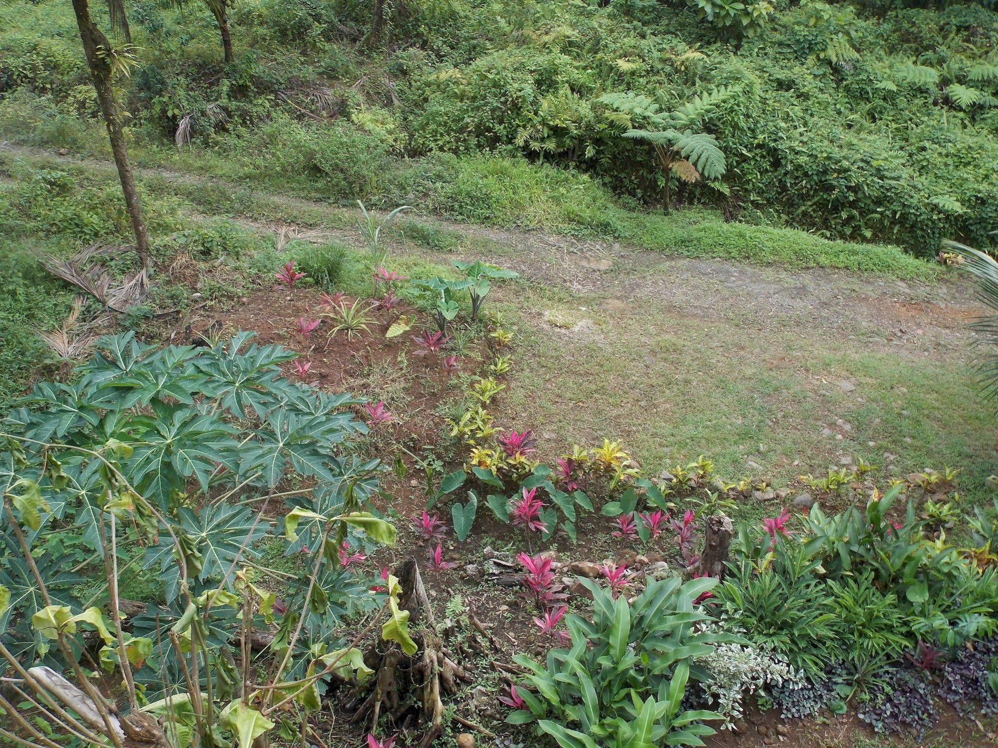 Roots Jungle Retreat Vila Marigot Exterior foto