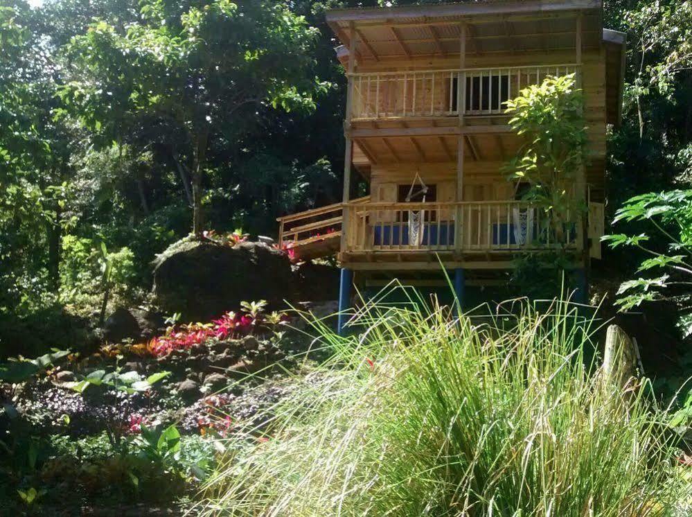 Roots Jungle Retreat Vila Marigot Exterior foto